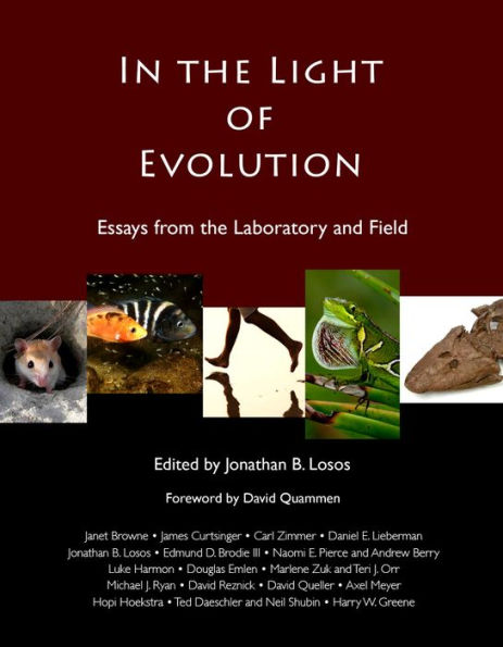 In the Light of Evolution: Essays from the Laboratory and Field / Edition 2