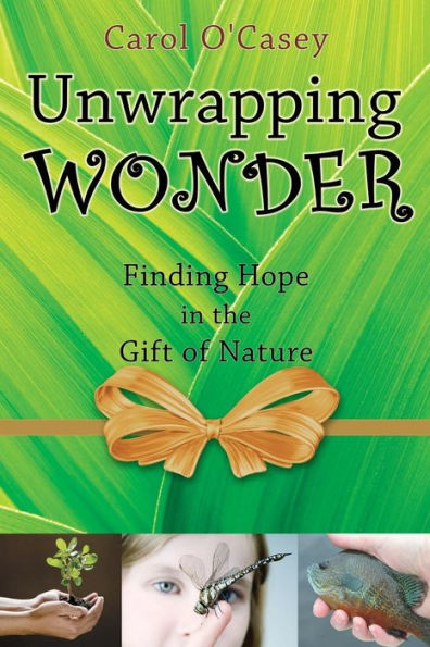 Unwrapping Wonder: Finding Hope the Gift of Nature