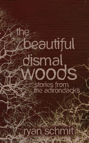 The Beautiful Dismal Woods: Short Stories from the Adirondacks