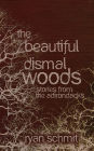 The Beautiful Dismal Woods: Short Stories from the Adirondacks