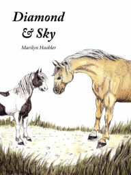 Title: Diamond & Sky, Author: Marilyn E Hoobler