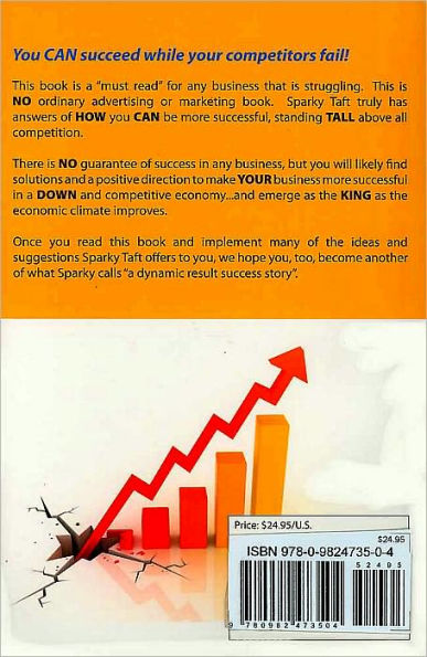 Dynamic Sales Results: Creating Super Sales Success in a Competitive Down Market