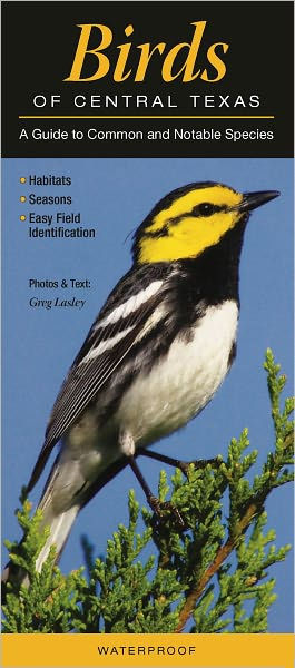 Birds of Central Texas: A Guide to Common and Notable Species by Greg ...