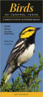 Birds of Central Texas: A Guide to Common and Notable Species
