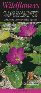 Title: Wildflowers of Southeast Florida including the Florida Keys and Everglades National Park: A Guide to Common Native Species, Author: Roger L. Hammer