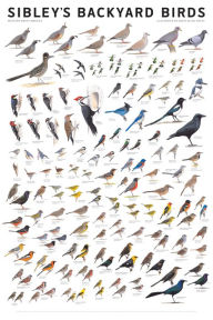 Title: Sibley's Backyard Birds: Western North America, Author: David Allen Sibley