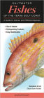 Saltwater Fishes of the Texas Gulf Coast: A Guide to Inshore and Offshore Species