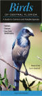 Birds of Central Florida: A Guide to Common and Notable Species
