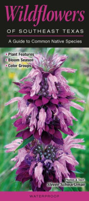 Wildflowers Of Southeast Texas A Guide To Common Native Speciesother Format - 