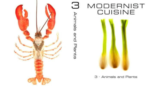 Modernist Cuisine: The Art and Science of Cooking