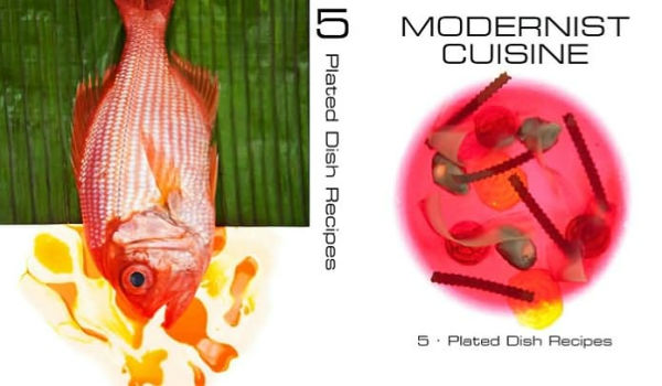 Modernist Cuisine: The Art and Science of Cooking