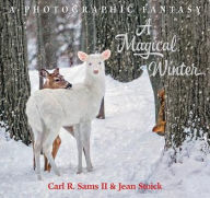 Title: A Magical Winter: A Photographic Fantasy, Author: Carl R. Sams II