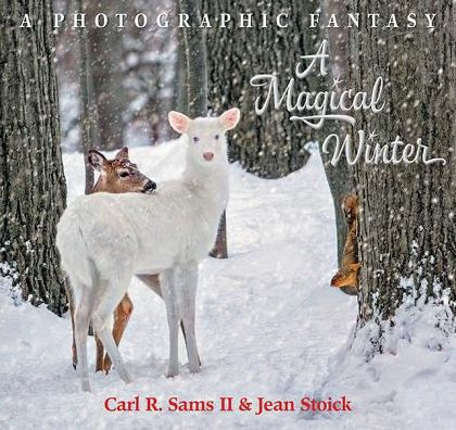 A Magical Winter: A Photographic Fantasy