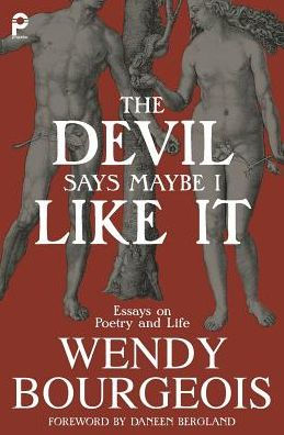 The Devil Says Maybe I Like It: Essays on Poetry and Life