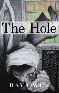 Title: The Hole, Author: Ray Owen