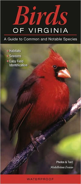 Birds of Virginia: A Guide to Common and Notable Species by Middleton ...