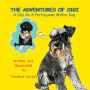 THE ADVENTURES OF SIGI-A Day As A Portuguese Water Dog