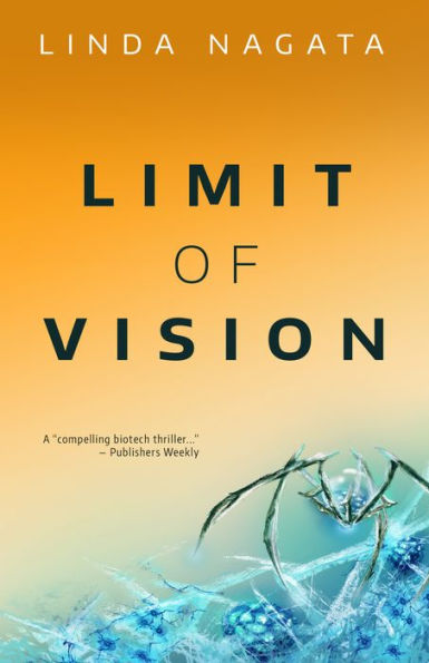 Limit of Vision