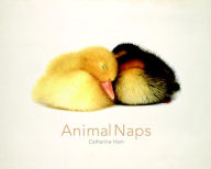 Title: Animal Naps, Author: Catherine Ham