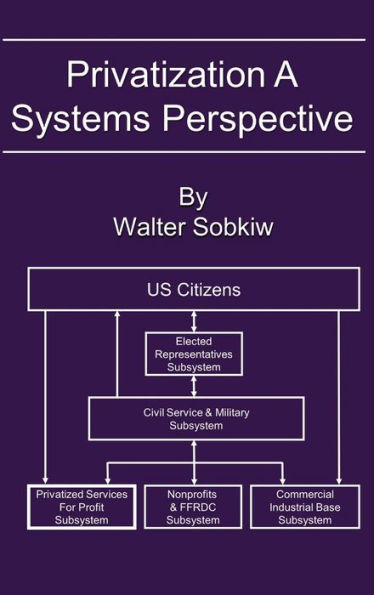 Privatization A Systems Perspective