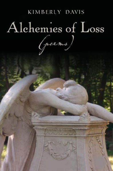 Alchemies of Loss (poems): Featuring "Alchemy," Winner of the 2009-2010 James Wright Poetry Award