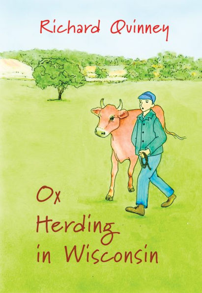 Ox Herding Wisconsin