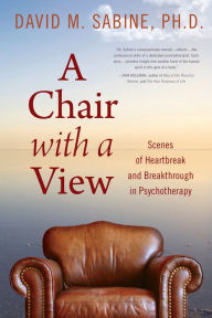 Title: A Chair with a View: Scenes of Heartbreak and Breakthrough in Psychotherapy, Author: David M. Sabine