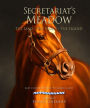 Secretariat's Meadow