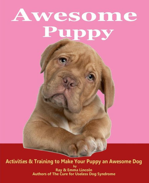 Awesome Puppy: Activities & Training to Make Your Puppy an Dog