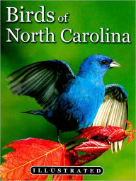 Title: North Carolina's Illustrated Birds, Author: Tim Ohr