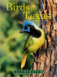 Title: The Illustrated Birds of Texas, Author: Ohr