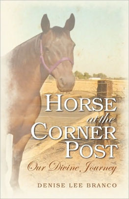 Horse at the Corner Post