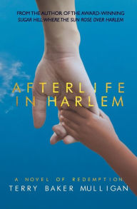Title: Afterlife in Harlem, Author: Terry Baker Mulligan