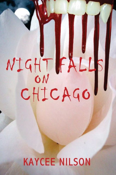 Night Falls on Chicago