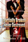 Partially Broken Never Destroyed III: The Trilogy