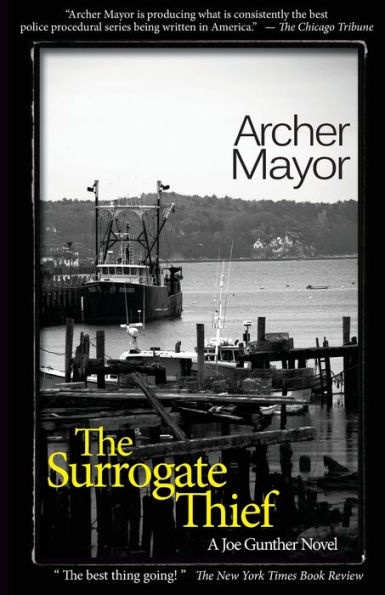 The Surrogate Thief (Joe Gunther Series #15)