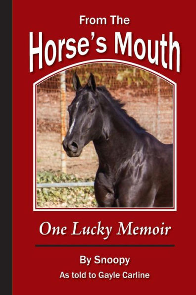From the Horse's Mouth: One Lucky Memoir