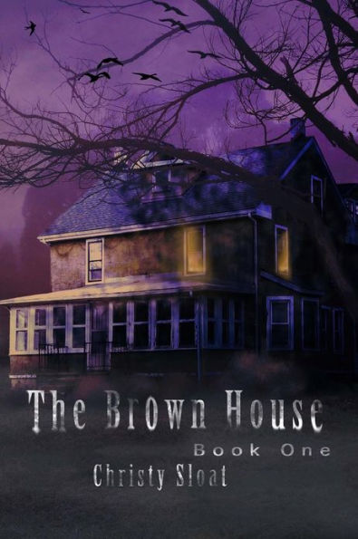 The Brown House: Visitors Series Book One