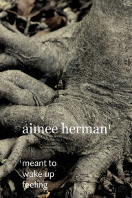 Title: Meant to Wake Up Feeling, Author: Aimee Herman