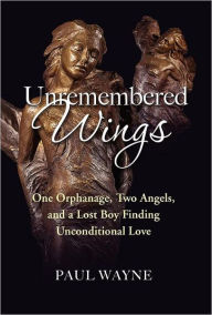 Title: Unremembered Wings, Author: Paul Wayne