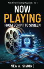 Now Playing From Script to Screen Web 3 Film Funding Playbook Vol. 1: Web 3 Film Funding Playbook