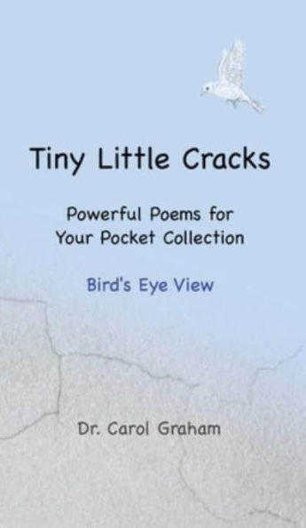 Tiny Little Cracks: Powerful Poems for Your Pocket Collection: Bird's Eye View