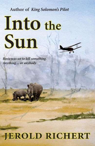 Into the Sun: A Novel of Africa