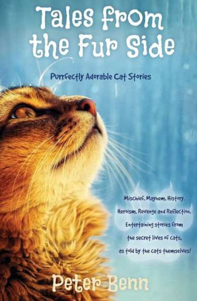 Tales from the Fur Side: Purrfectly Adorable Cat Stories