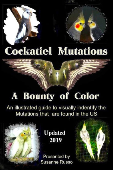 Cockatiel Mutations: A Bounty of Color
