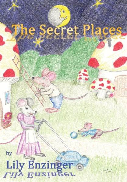 The Secret Places