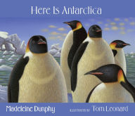 Title: Here Is Antarctica, Author: Madeleine Dunphy