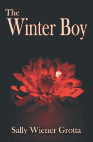 Title: The Winter Boy, Author: Sally Wiener Grotta