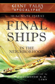 Title: Final Ships In the Neighborhood: Mysterious Vessels, Author: H.M. Schuldt