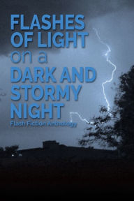 Title: Flashes of Light on a Dark and Stormy Night: A Flash Fiction Anthology:, Author: Michele Venne